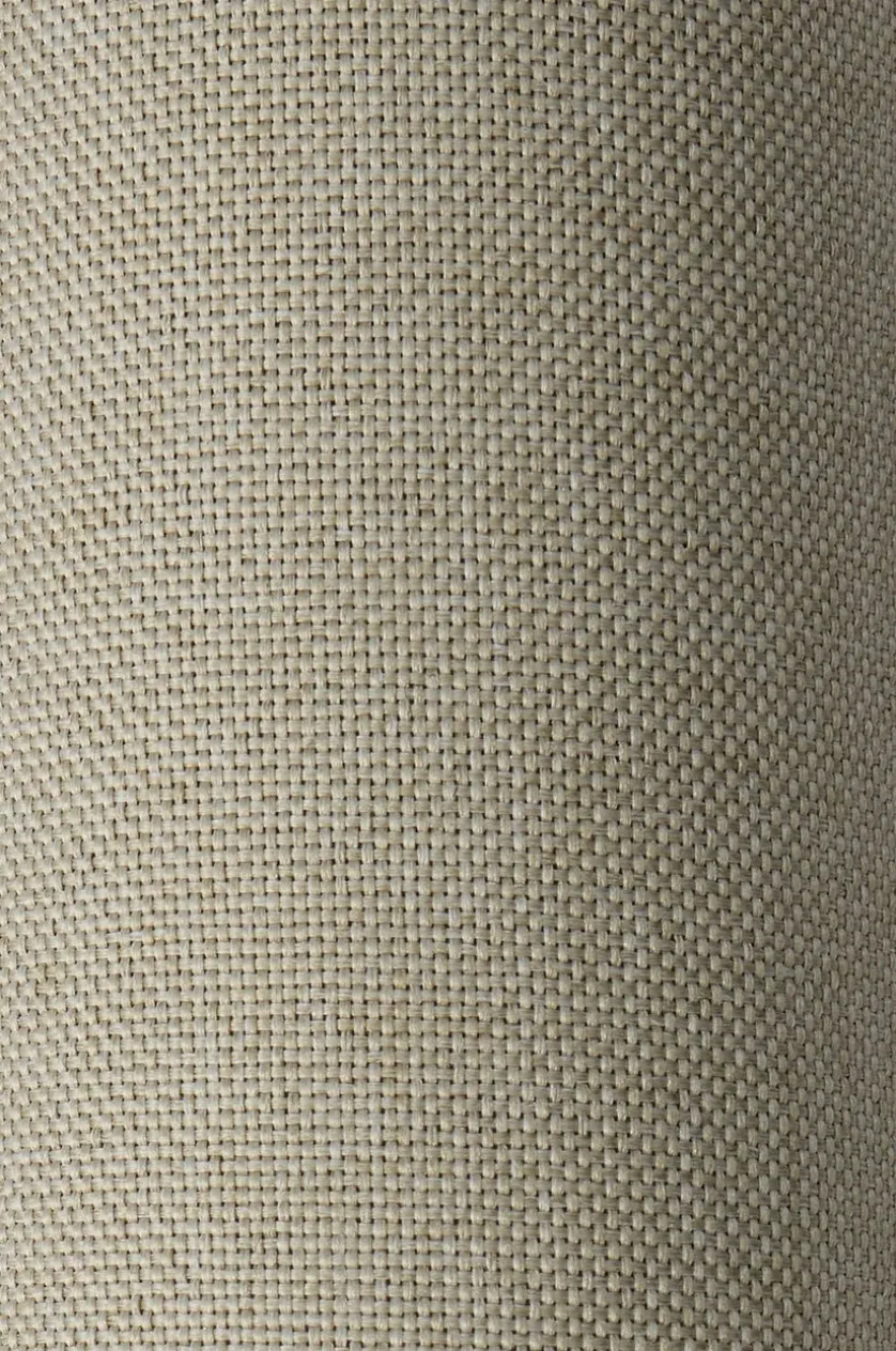 8009