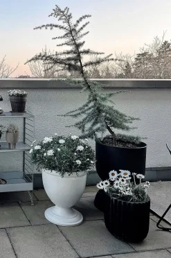 ALICIA krukke ø 38 cm