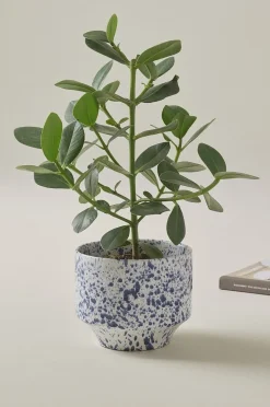 BELLADONNA potteskjuler diameter 21,5 cm