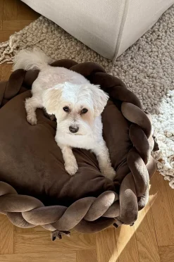 BRADY hunde-/katteseng