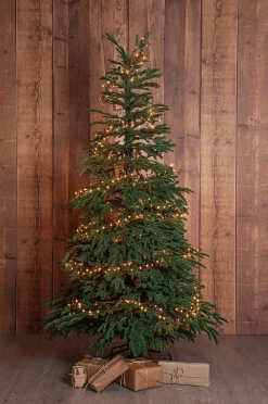 EDANE juletræ naturtro udendørs højde 210 cm