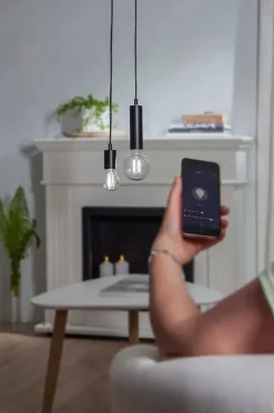 LED-pære G95 Smart Bulb