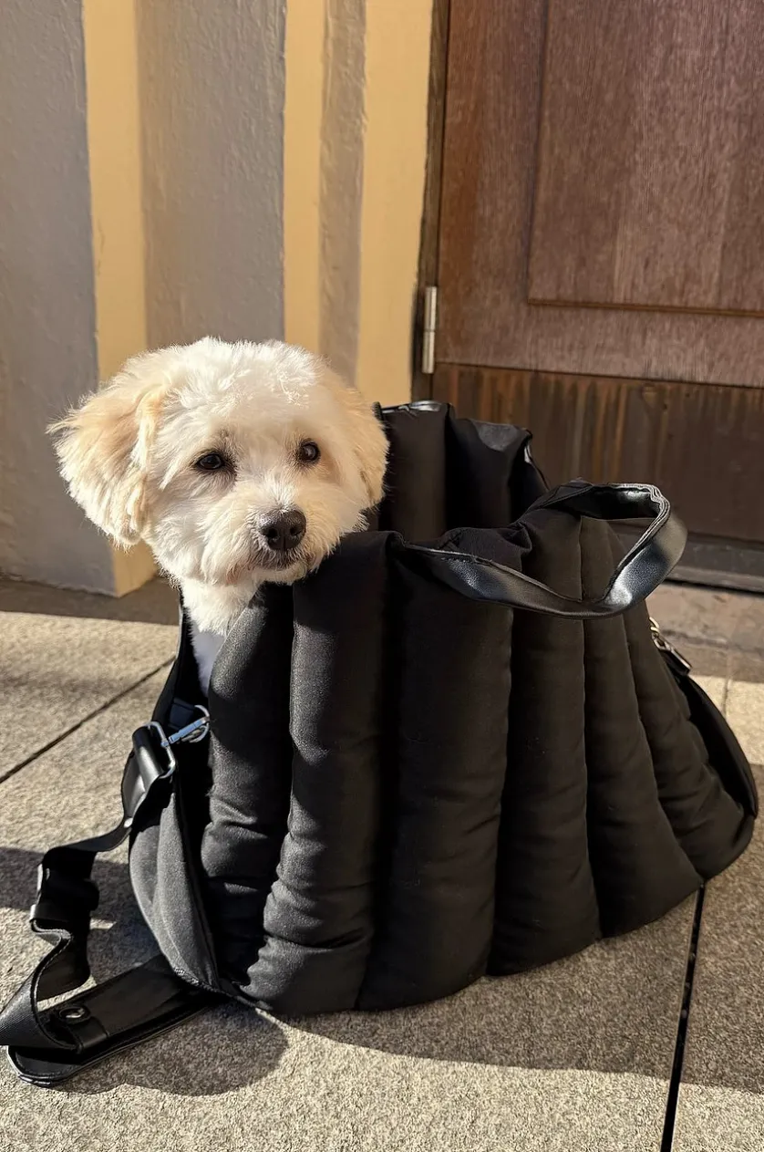 PADDY Transporttaske til dyr