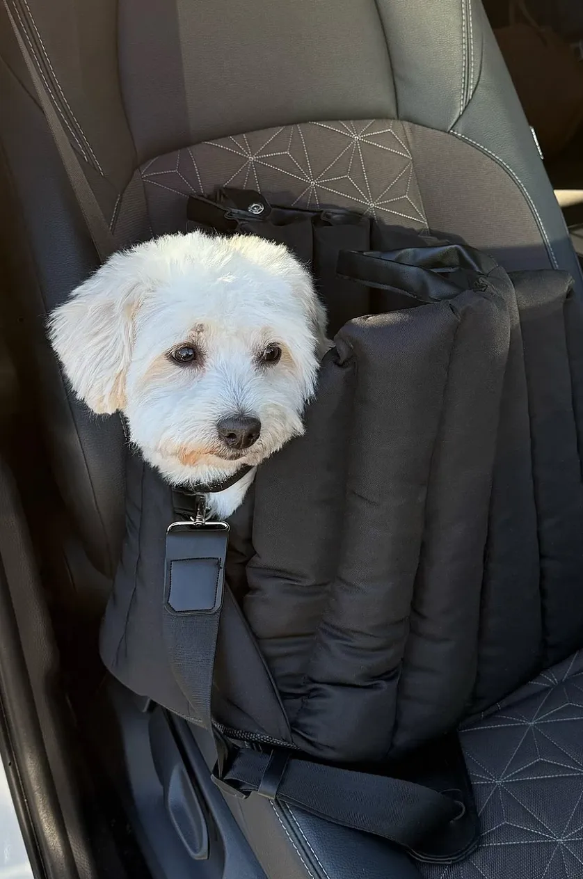 PADDY Transporttaske til dyr
