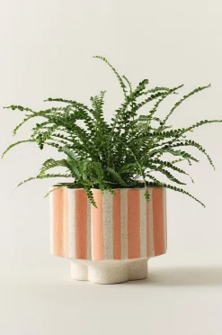 SIGFRID STRIPE krukke
