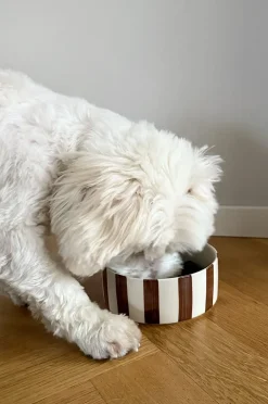 STELLA madskål til hund/kat 2-pak