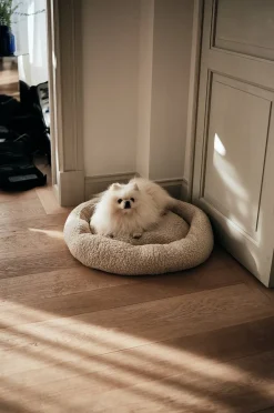 YOSHI hunde-/katteseng